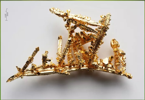 goldwooders-gold